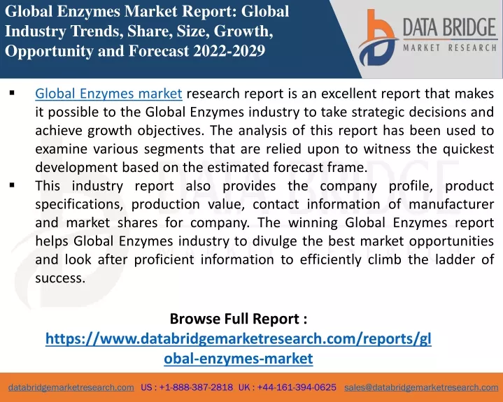 global enzymes market report global industry