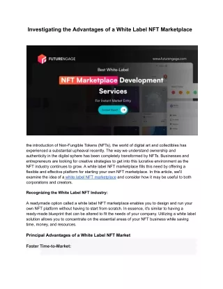 Investigating the Advantages of a White Label NFT Marketplace