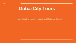 Dubai City Tours