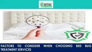 factors to consider when choosing