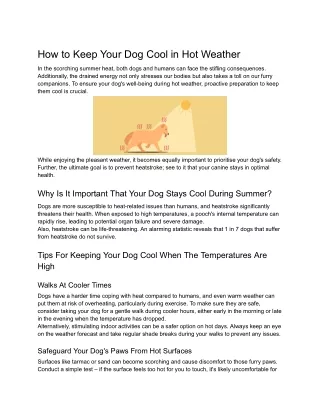 How to Keep Your Dog Cool in Hot Weather