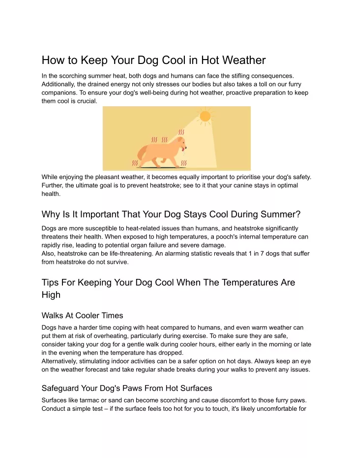 how to keep your dog cool in hot weather