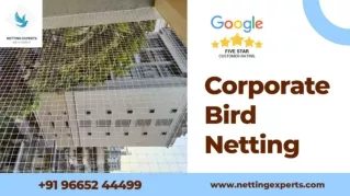 Corporate Bird Netting - WhatsApp & Call  91 96652 44499