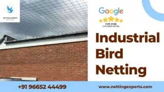 Industrial Bird Netting - WhatsApp & Call  91 96652 44499