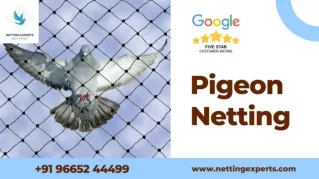 Pigeon Netting - WhatsApp & Call  91 96652 44499