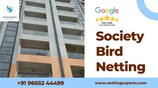 Residential Bird Netting - WhatsApp & Call  91 96652 44499