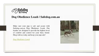 Dog Obedience Leash  Safedog.com.au