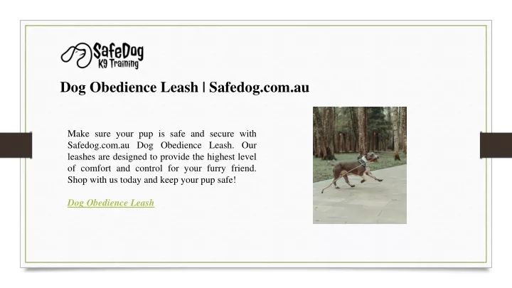 dog obedience leash safedog com au