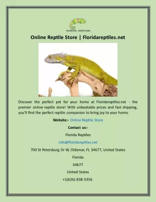 Online Reptile Store  Floridareptiles.net