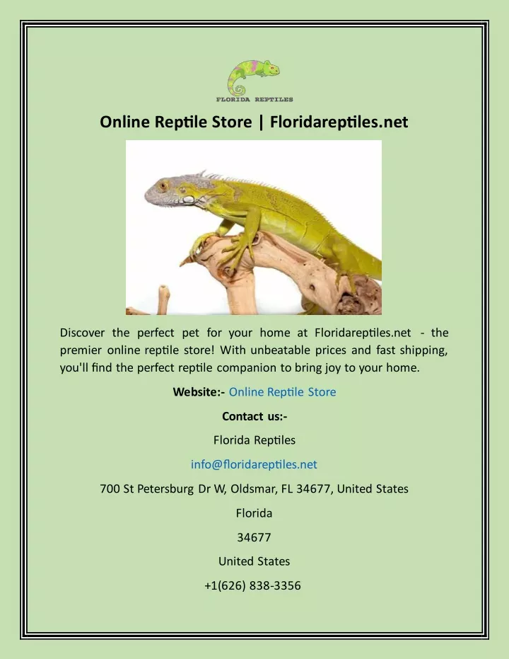 PPT - Online Reptile Store Floridareptiles.net PowerPoint Presentation