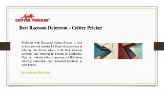 Best Raccoon Deterrent - Critter Pricker