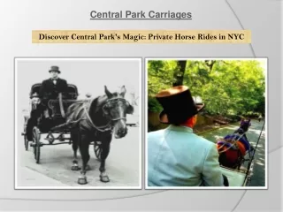 Experience the Magic of Central Park with Our Private Horse Ride in New York City