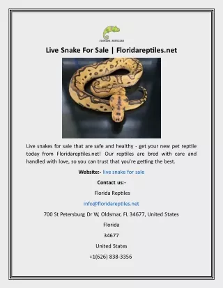 Live Snake For Sale  Floridareptiles.net
