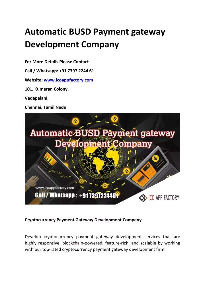 automatic busd payment gateway development company