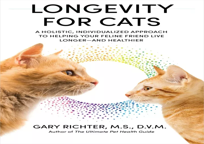 longevity for cats a holistic individualized