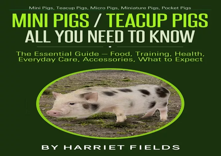 mini pigs teacup pigs all you need to know