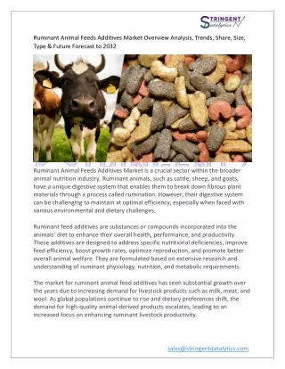 Ruminant Animal Feeds Additives Market Share, Size,  Type & Future Forecast