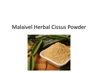 Cissus Powder