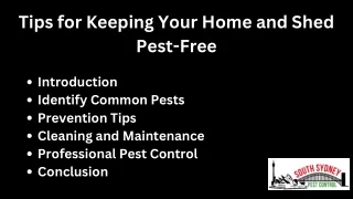 Tips for Keeping Your Home and Shed Pest-Free