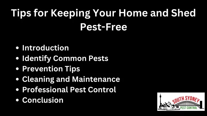 tips for keeping your home and shed pest free