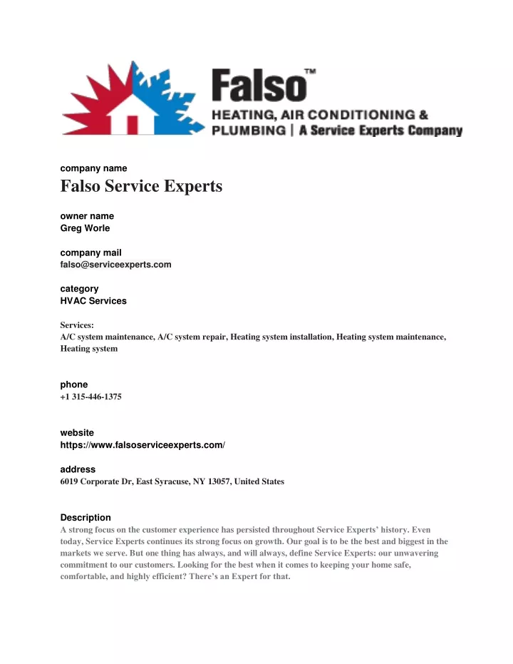 company name falso service experts owner name