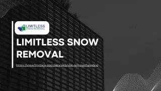 limitless snow removal