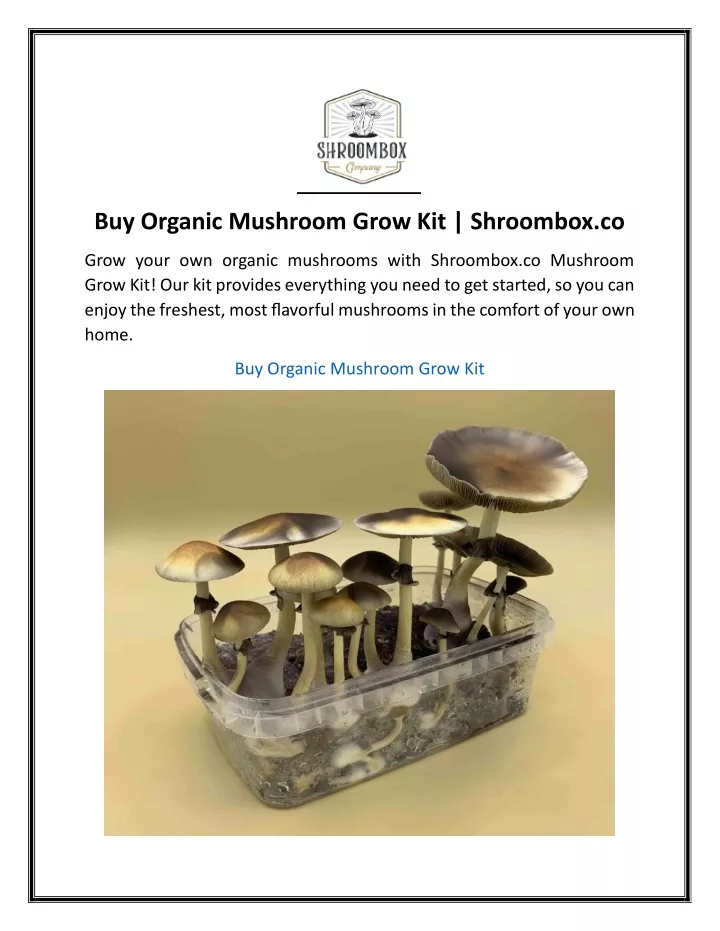 buy organic mushroom grow kit shroombox co
