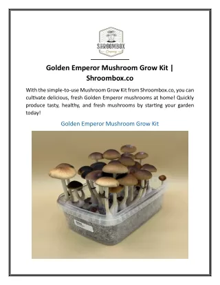 Golden Emperor Mushroom Grow Kit  Shroombox.co