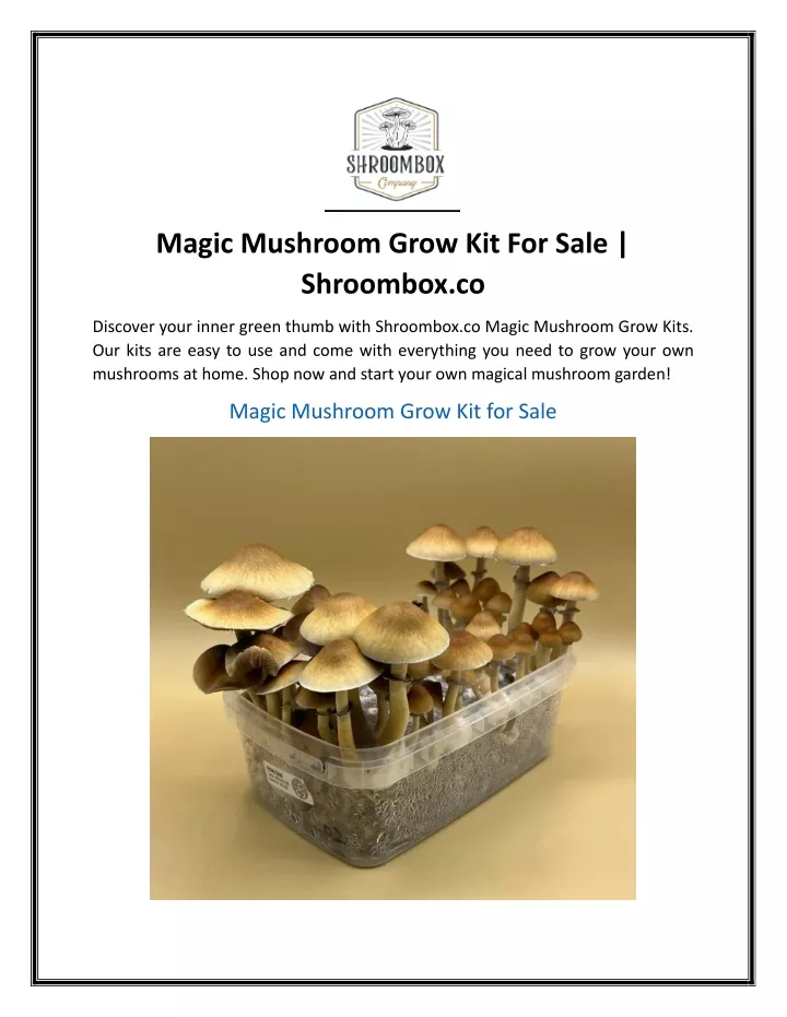 magic mushroom grow kit for sale shroombox co