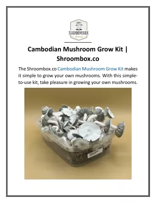 Cambodian Mushroom Grow Kit  Shroombox.co..