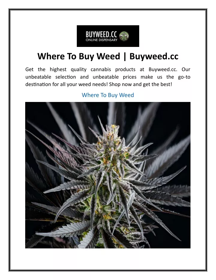 where to buy weed buyweed cc