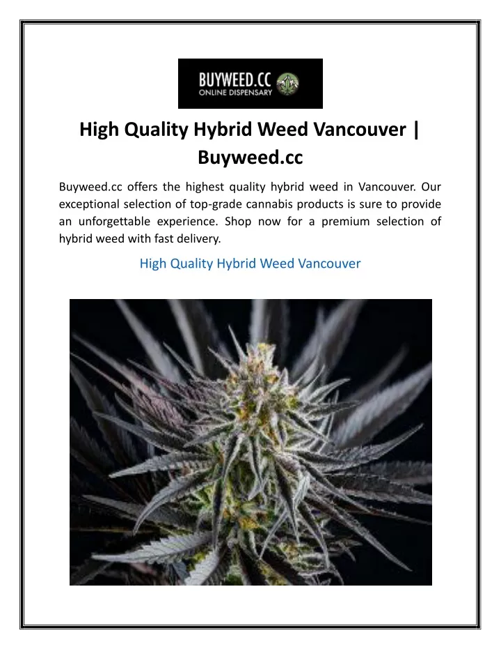 high quality hybrid weed vancouver buyweed cc