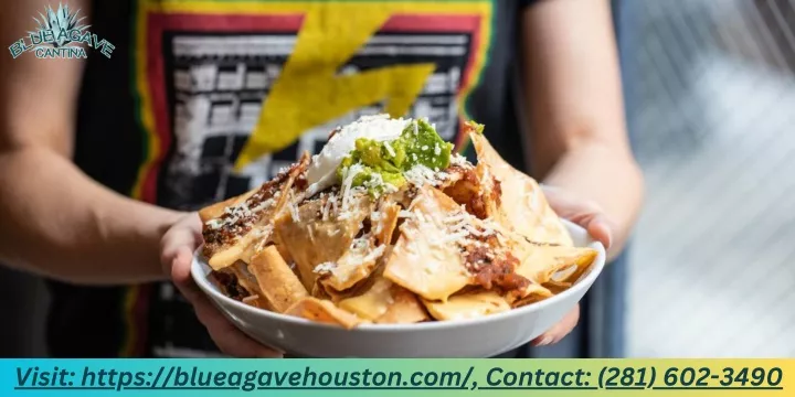 visit https blueagavehouston com contact