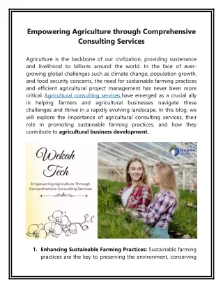 Empowering Agriculture Through Comprehensive Consulting Services