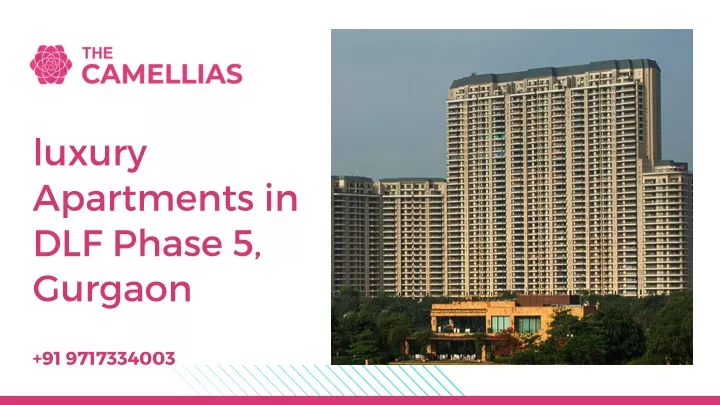 luxury apartments in dlf phase 5 gurgaon