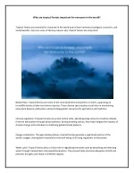 Why are tropical forests important for everyone in the world - slide 1