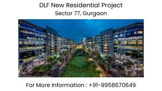 DLF Privana Floors Sector 77 Gurgaon, DLF Privana Floors Sector 77 Gurgaon New L