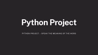 python project