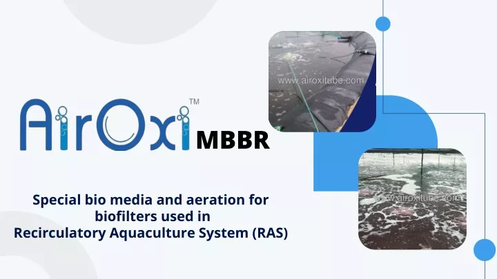 s pecial bio media and aeration for biofilters used in recirculatory aquaculture system ras