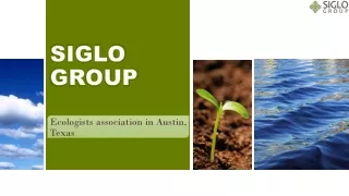Transforming Spaces with Expert Land Planning Services - Siglo Group.
