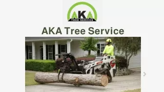 AKA Tree Service - Your Affordable Tree Removal Company