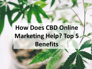 How does CBD online marketing help? Top 5 benefits