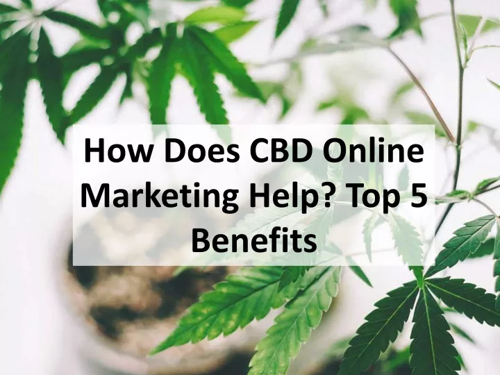 how does cbd online marketing help top 5 b enefits