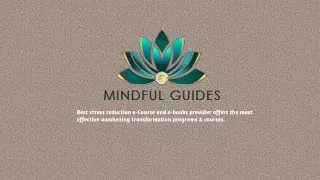 Mindful meditation book