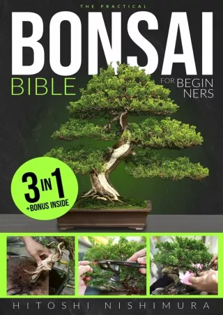 Download Book [PDF] The Practical Bonsai Bible for Beginners: Discover All the Secrets of This Ancient Asian Art to Grow