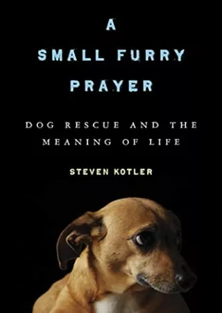 Download Book [PDF] A Small Furry Prayer: Dog Rescue and the Meaning of Life