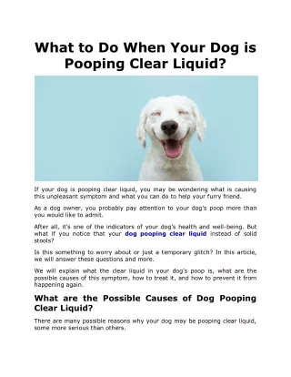 What to Do When Your Dog is Pooping Clear Liquid