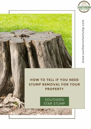 How to Tell If You Need Stump Removal for Your Property