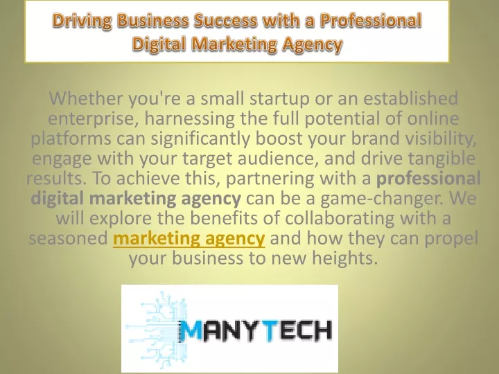 driving business success with a professional digital marketing agency