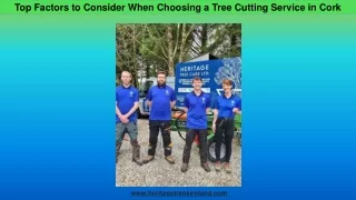 Top Factors to Consider When Choosing a Tree Cutting Service in Cork